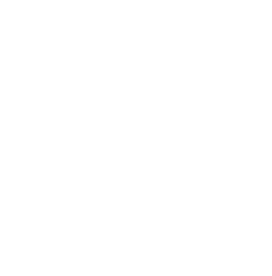 Partner 4