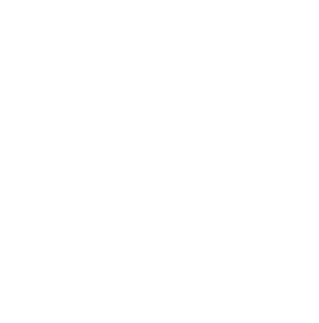 Partner 4